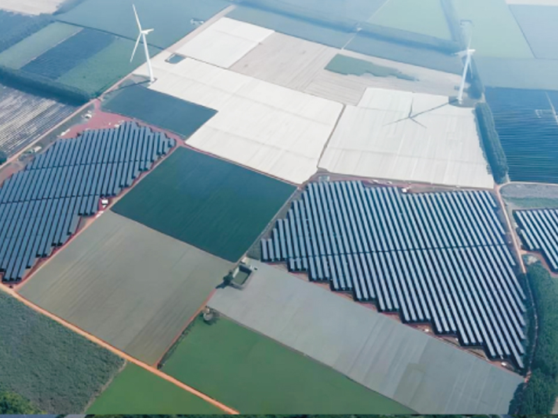 广东矣量光电股份有限公司太阳能光伏发电站项目