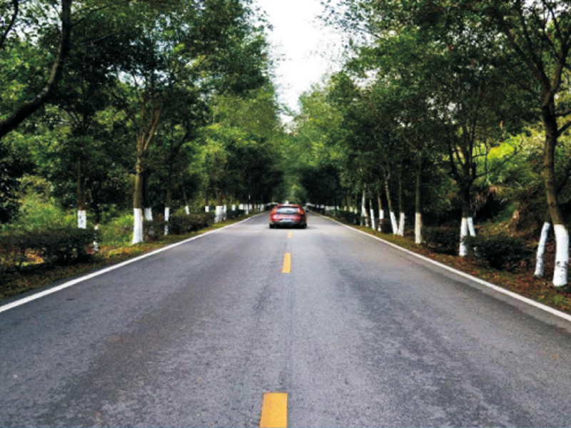 富顺县X068(天马村至胡观村段)美丽乡村路