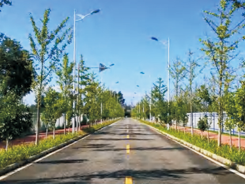 富顺县Y281(罗寺村至芭蕉村)美丽乡村路