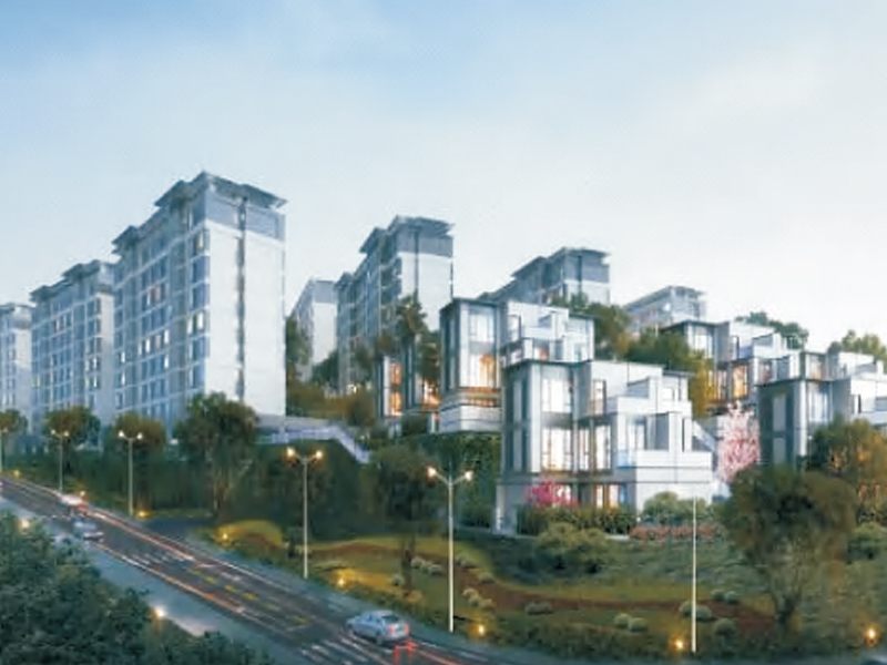 富洲大道特色街区亮化打造项目