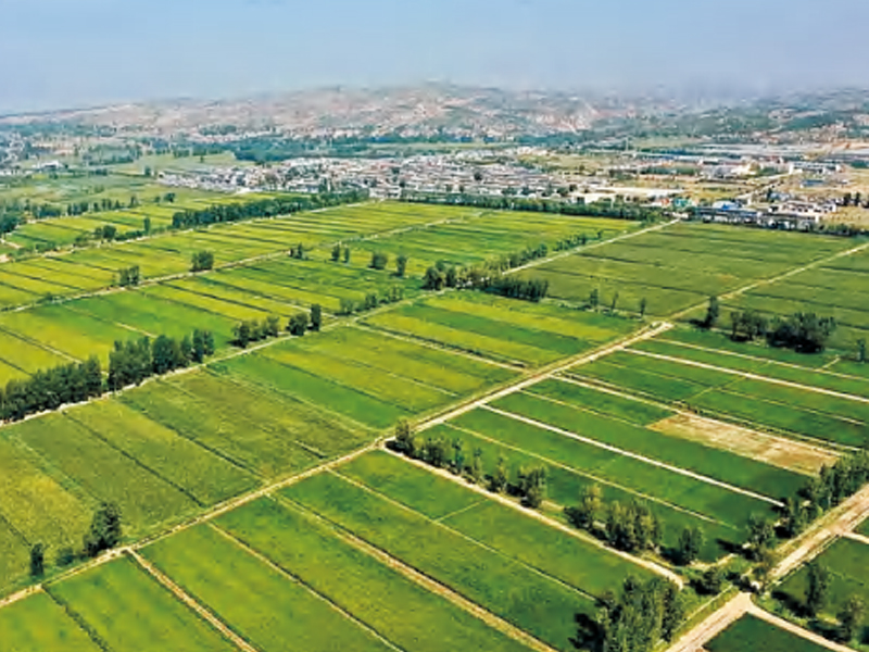 泸州市纳溪区整区域推进高标准农田建设