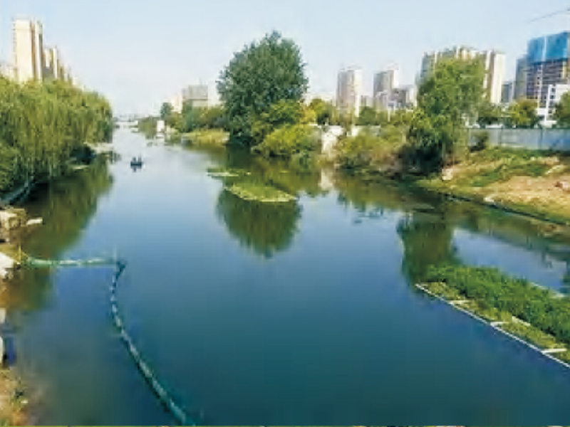 威远县越溪河(岷江流域)水环境治理项目