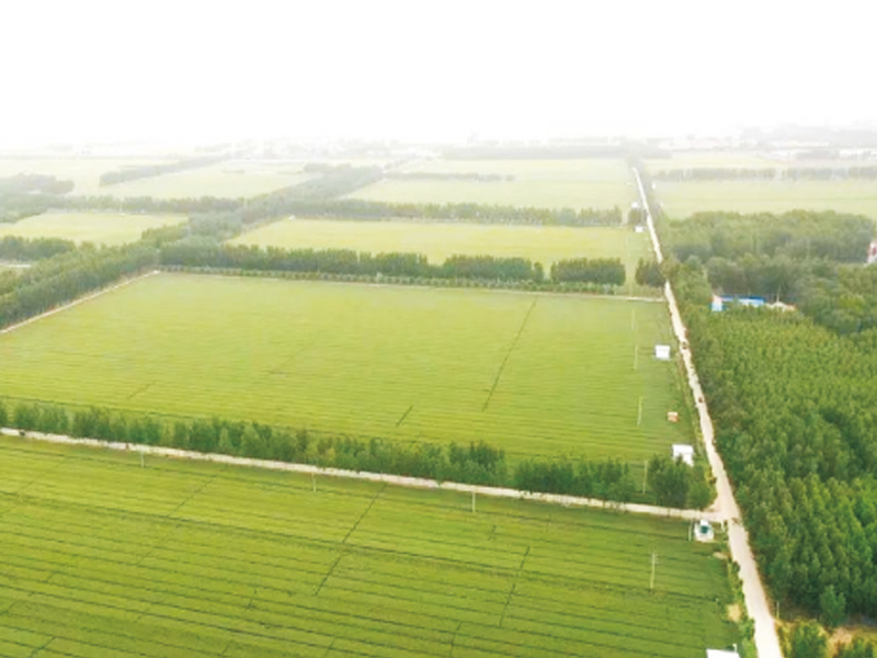 荣县高标准农田建设项目(第一期) 荣县2024年高标准农田建设项目