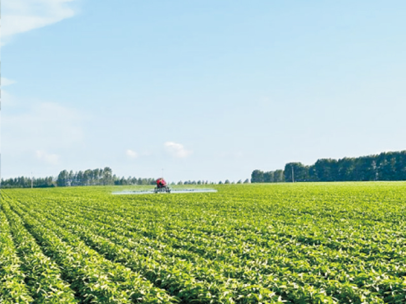 自贡市沿滩区中国彩灯之乡乡村振兴示范片项目(三期) 永安镇大豆种业基地核心区提升项目